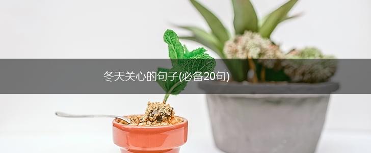 冬天关心的句子(必备20句),第1张