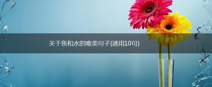 关于鱼和水的唯美句子(通用10句),第1张