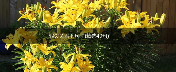假设关系的句子(精选40句),第1张