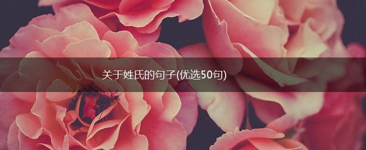 关于姓氏的句子(优选50句),第1张