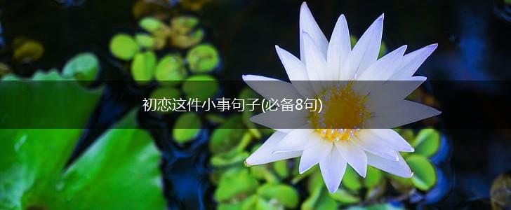 初恋这件小事句子(必备8句),第1张