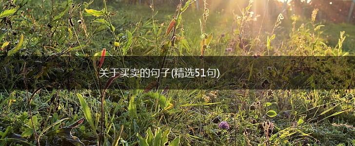 关于买卖的句子(精选51句),第1张