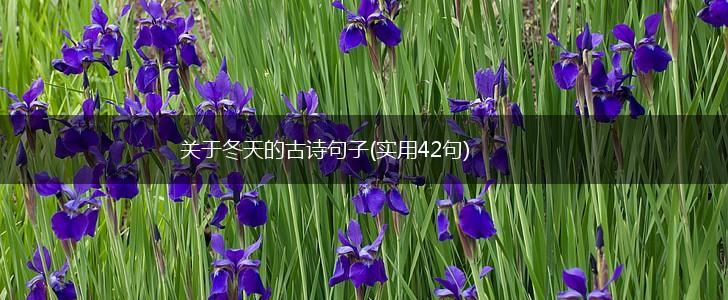 关于冬天的古诗句子(实用42句),第1张