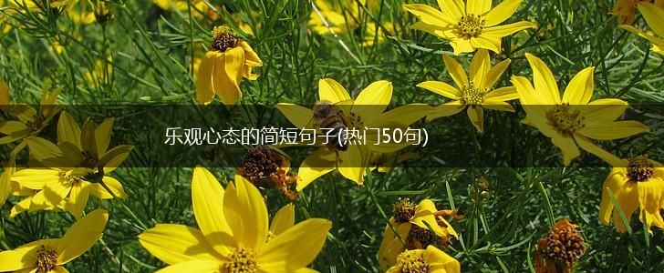 乐观心态的简短句子(热门50句),第1张