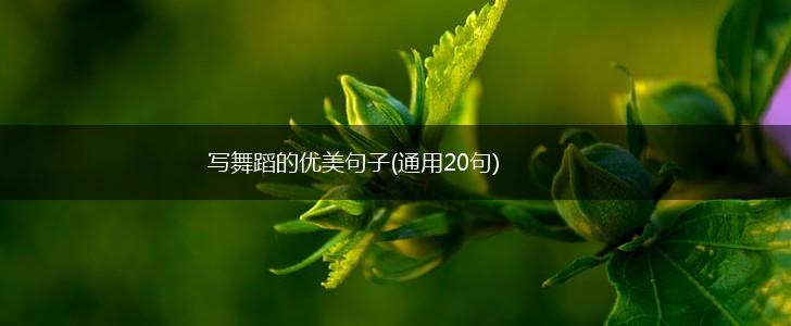 写舞蹈的优美句子(通用20句),第1张