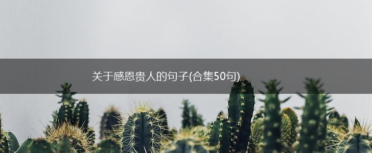 关于感恩贵人的句子(合集50句),第1张