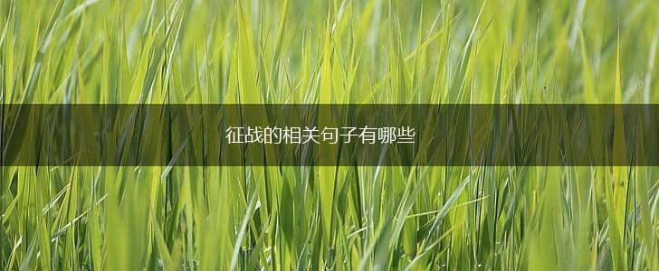 征战的相关句子有哪些,第1张