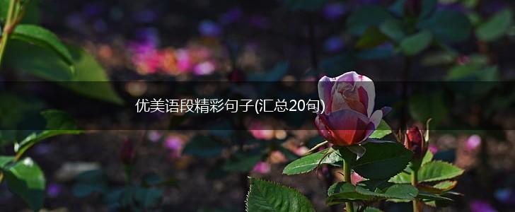 优美语段精彩句子(汇总20句),第1张
