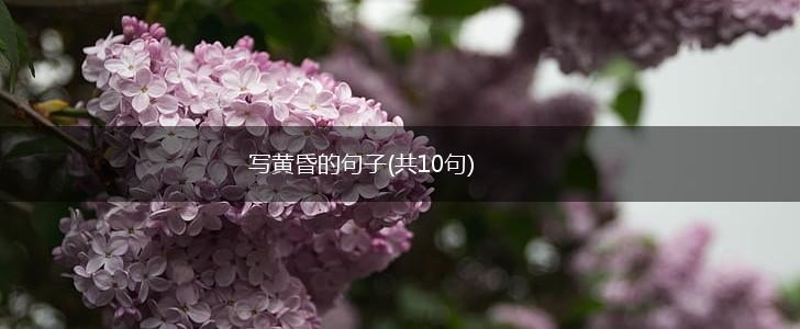 写黄昏的句子(共10句),第1张