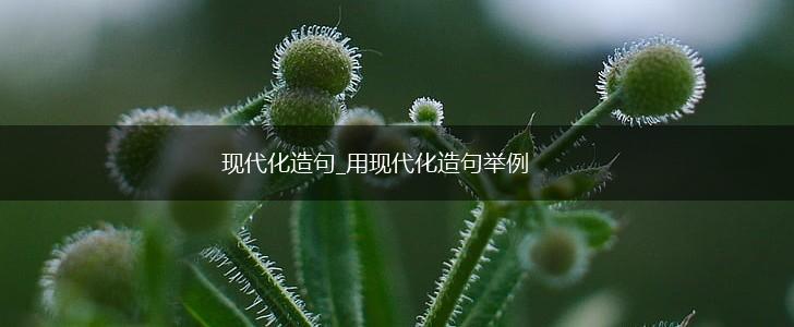 现代化造句_用现代化造句举例,第1张