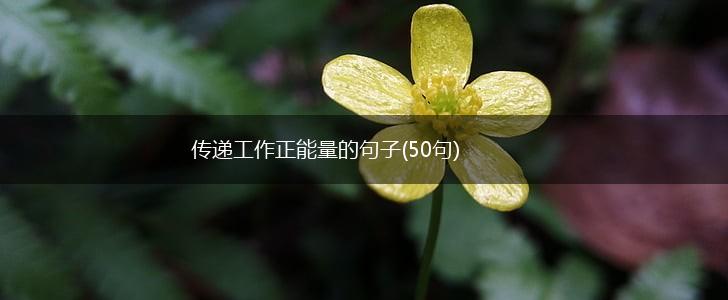 传递工作正能量的句子(50句),第1张