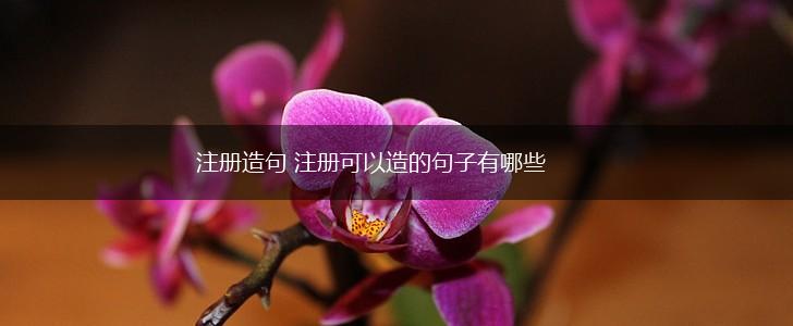 注册造句 注册可以造的句子有哪些,第1张 注册造句 注册可以造的句子有哪些,第1张