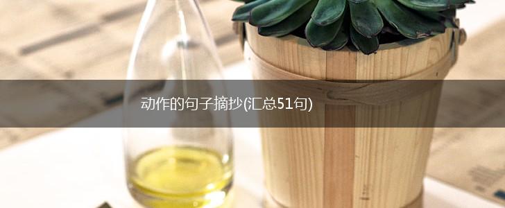 动作的句子摘抄(汇总51句),第1张