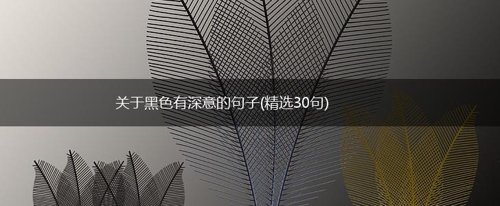 关于黑色有深意的句子(精选30句),第1张