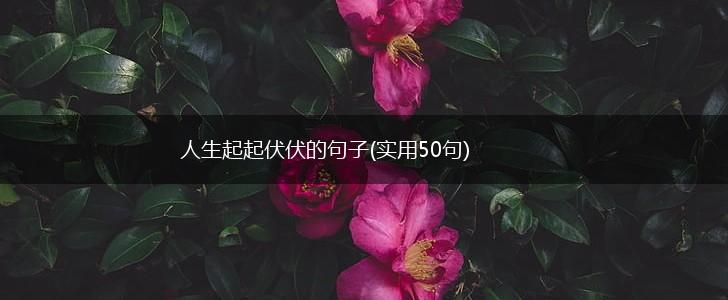 人生起起伏伏的句子(实用50句),第1张