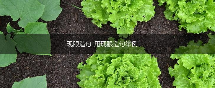 现眼造句_用现眼造句举例,第1张