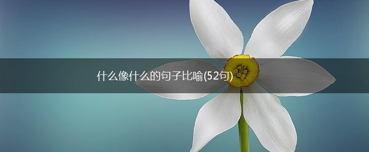 什么像什么的句子比喻(52句),第1张