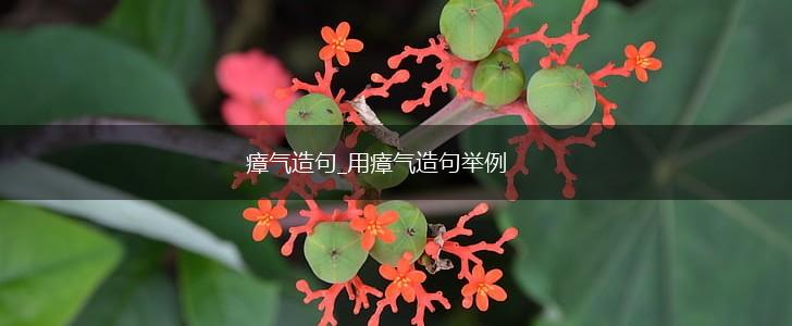 瘴气造句_用瘴气造句举例,第1张