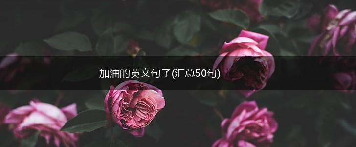 加油的英文句子(汇总50句),第1张
