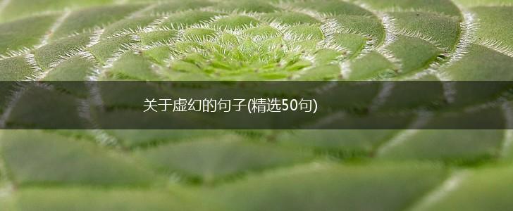 关于虚幻的句子(精选50句),第1张