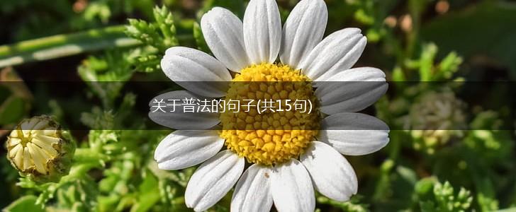 关于普法的句子(共15句),第1张