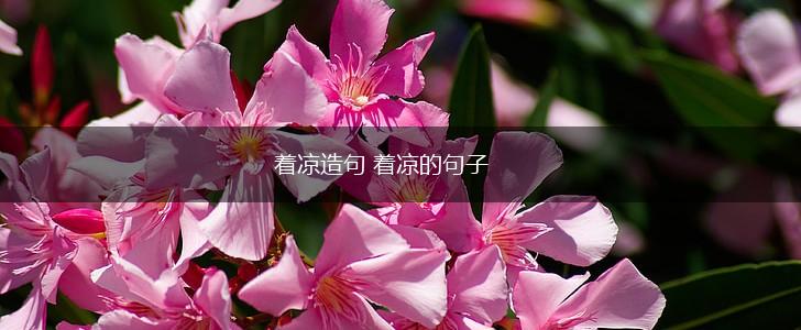 着凉造句 着凉的句子,第1张