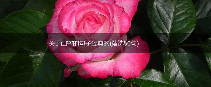 关于闺蜜的句子经典的(精选50句),第1张