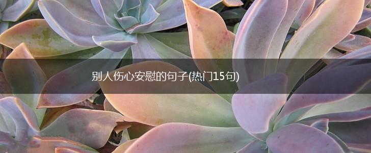 别人伤心安慰的句子(热门15句),第1张
