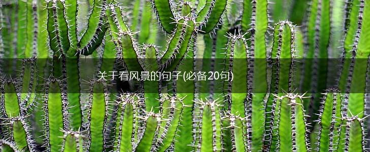 关于看风景的句子(必备20句),第1张