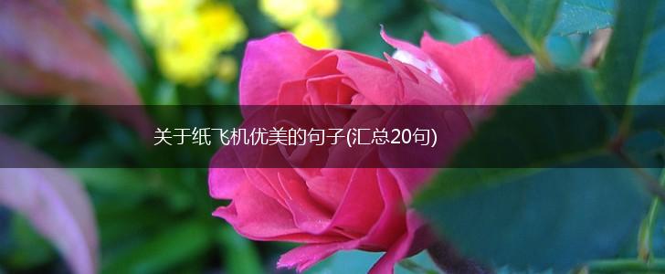 关于纸飞机优美的句子(汇总20句),第1张