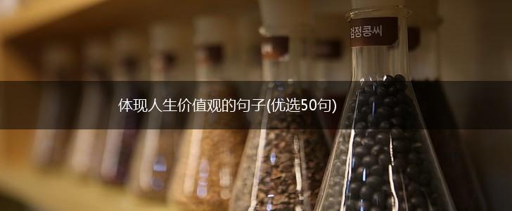体现人生价值观的句子(优选50句),第1张