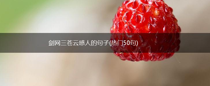 剑网三苍云感人的句子(热门50句),第1张