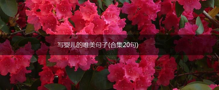 写婴儿的唯美句子(合集20句),第1张