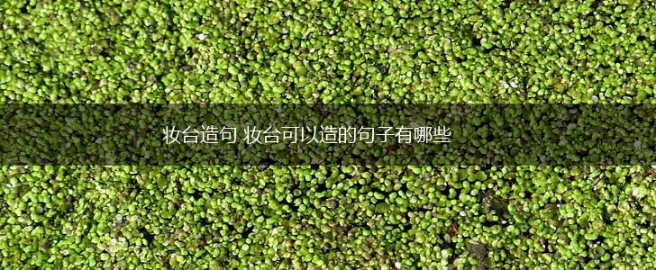 妆台造句 妆台可以造的句子有哪些,第1张