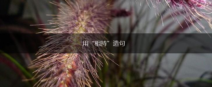 用“相持”造句,第1张