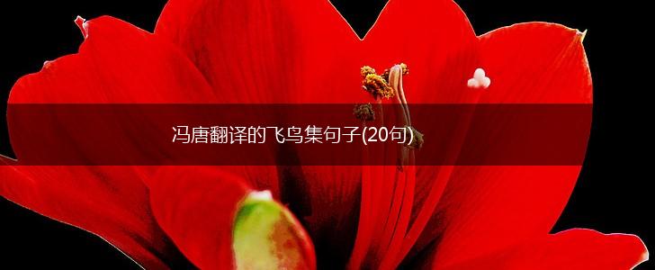冯唐翻译的飞鸟集句子(20句),第1张