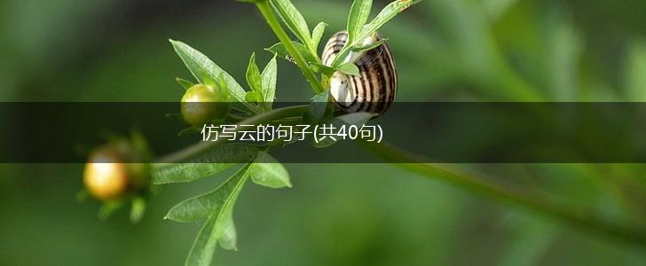仿写云的句子(共40句),第1张