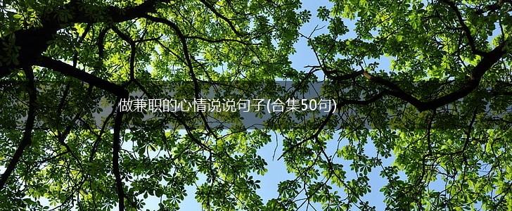 做兼职的心情说说句子(合集50句),第1张