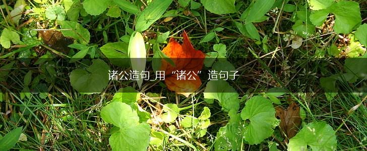 诸公造句_用“诸公”造句子,第1张