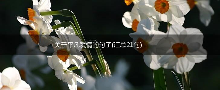 关于平凡爱情的句子(汇总21句),第1张