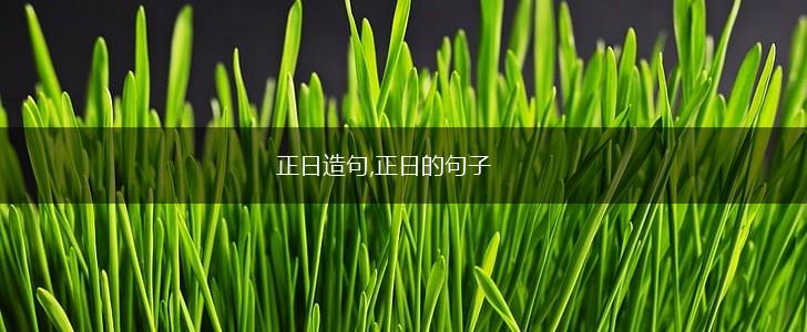 正日造句,正日的句子,第1张