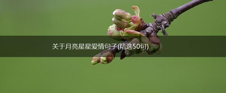 关于月亮星星爱情句子(精选50句),第1张