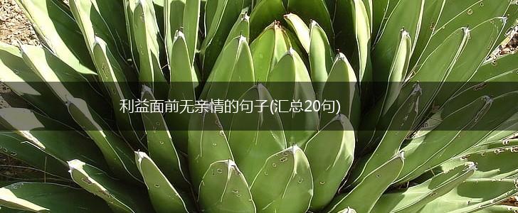 利益面前无亲情的句子(汇总20句),第1张