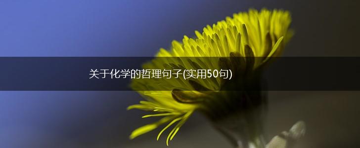 关于化学的哲理句子(实用50句),第1张