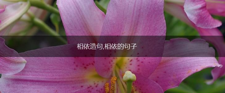 相依造句,相依的句子,第1张