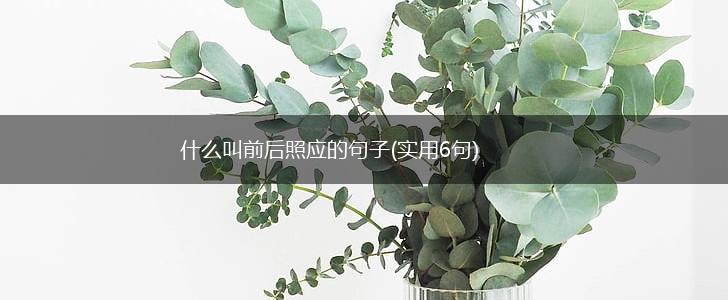什么叫前后照应的句子(实用6句),第1张