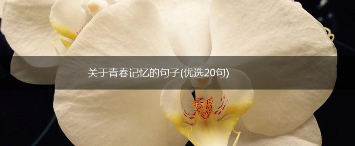 关于青春记忆的句子(优选20句),第1张
