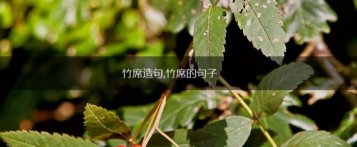 竹席造句,竹席的句子,第1张