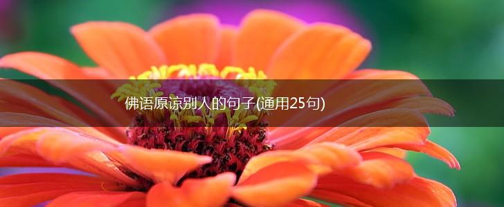佛语原谅别人的句子(通用25句),第1张