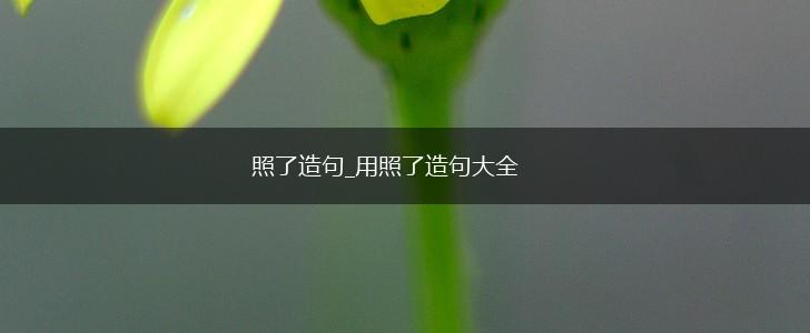 照了造句_用照了造句大全,第1张